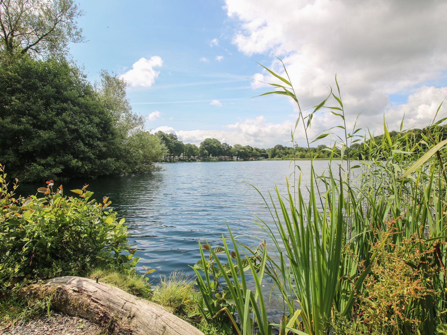 Swan Villa Leominster Dış mekan fotoğraf