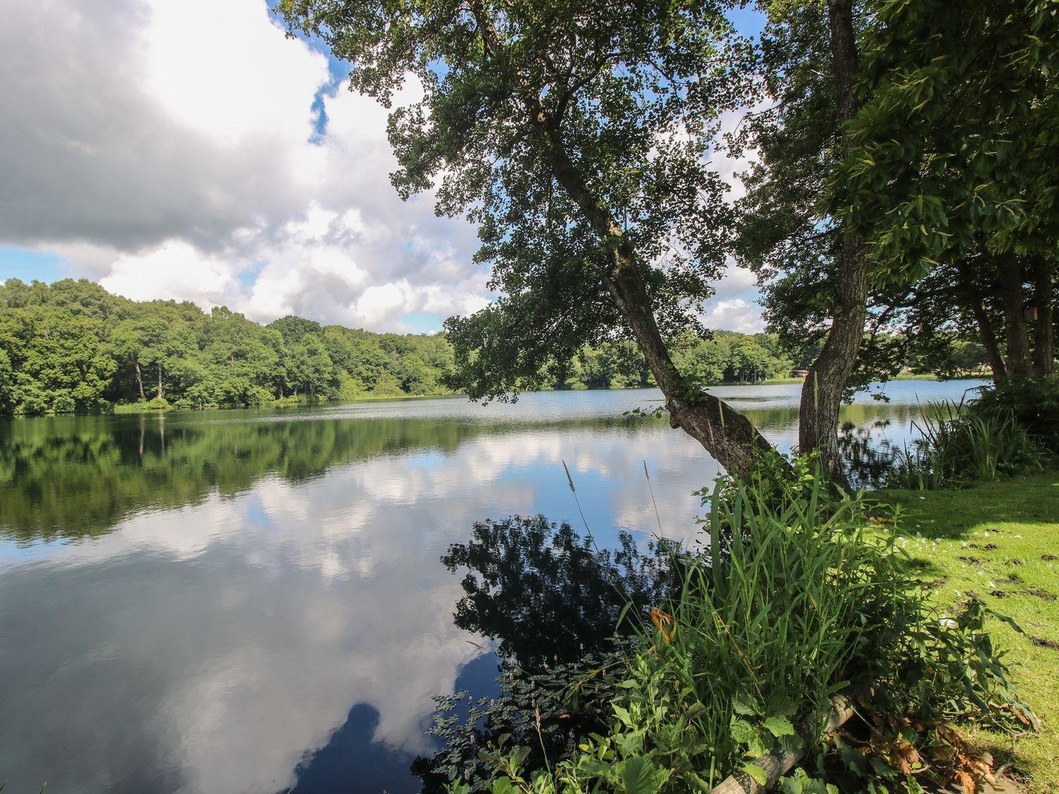 Swan Villa Leominster Dış mekan fotoğraf