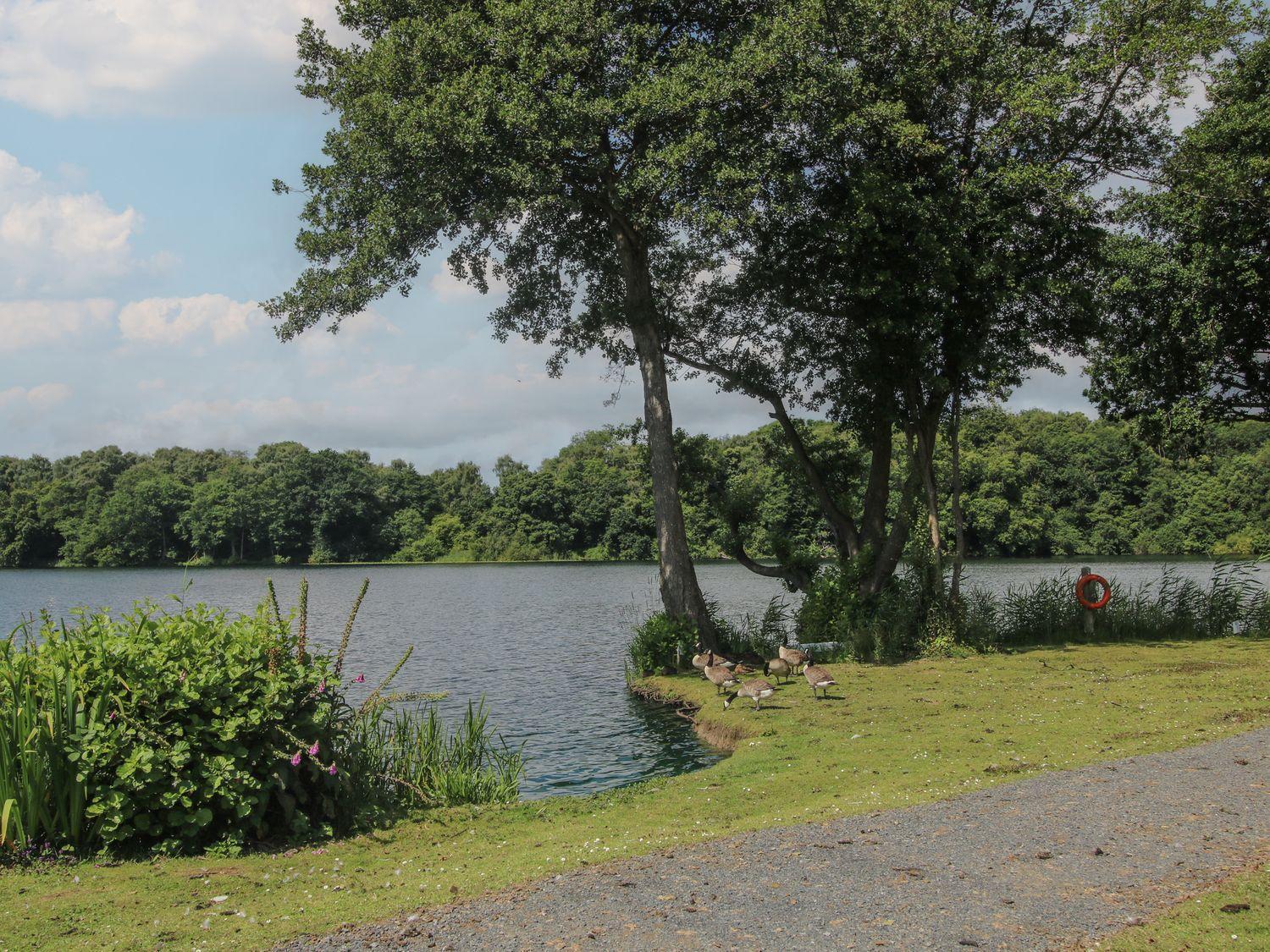 Swan Villa Leominster Dış mekan fotoğraf
