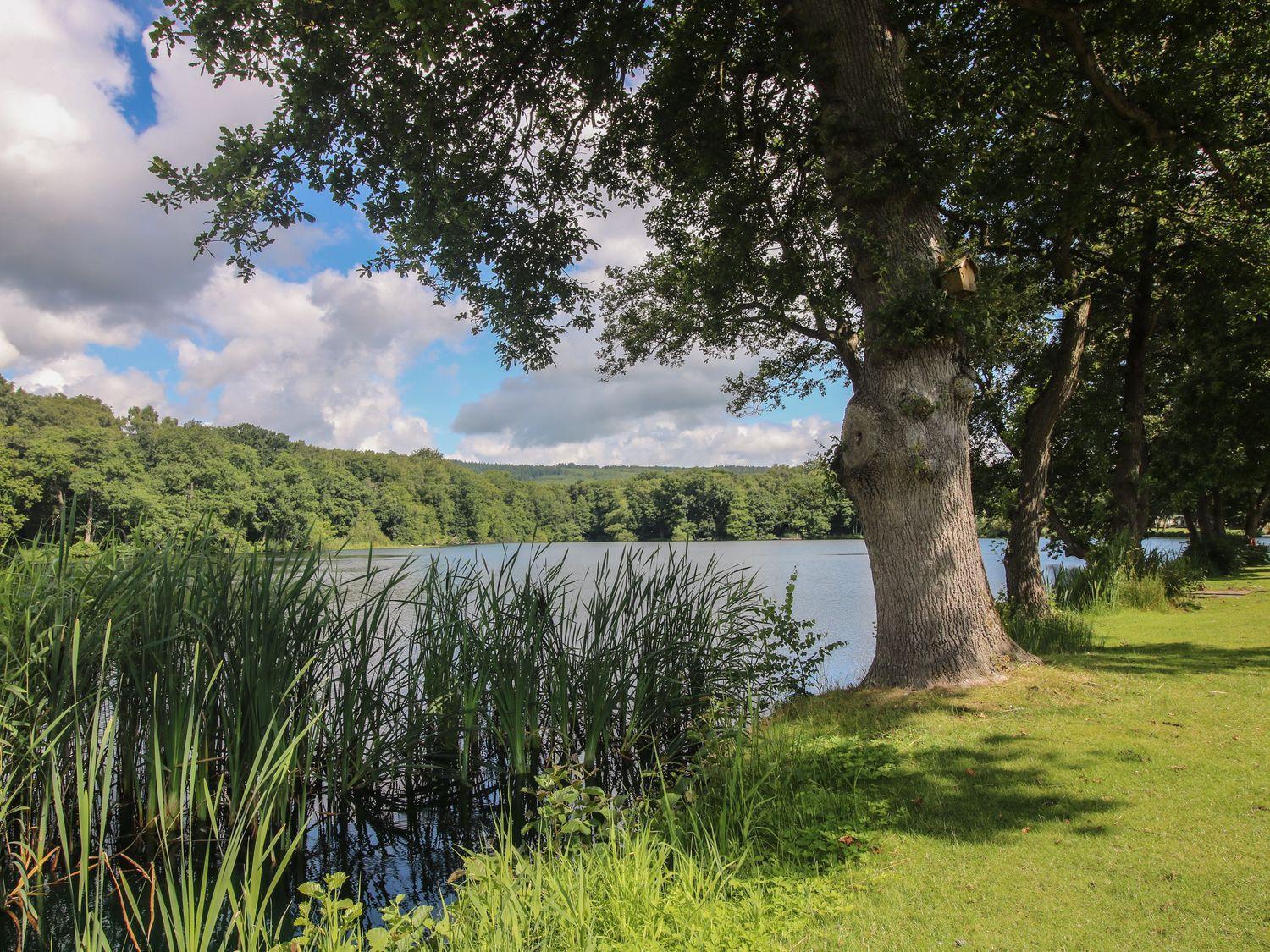 Swan Villa Leominster Dış mekan fotoğraf